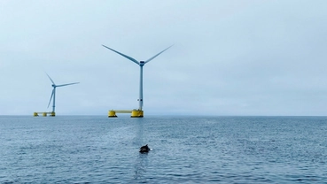 Floating offshore wind turbines connected by dynamic power cables