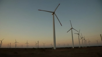 Wind farm with multiple onshore turbines at sunset